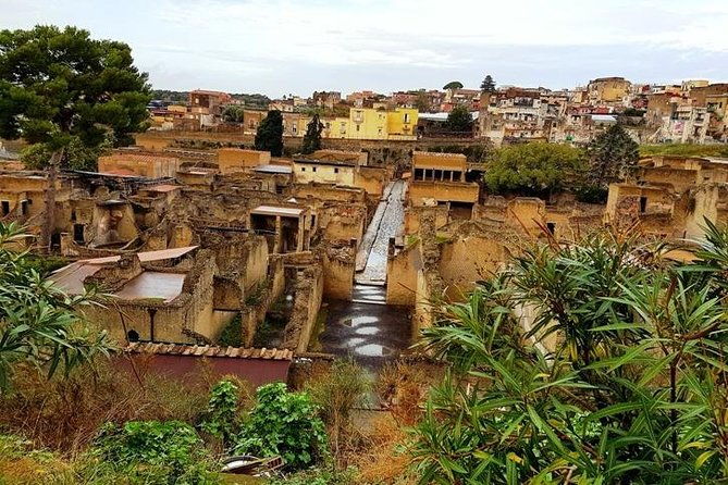 herculaneum-private-two-hour-tour-with-a-real-archaeologist