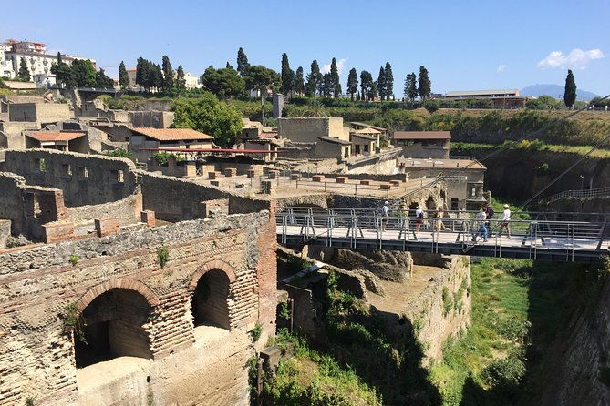 herculaneum-private-walking-guided-tour-2-hours-2