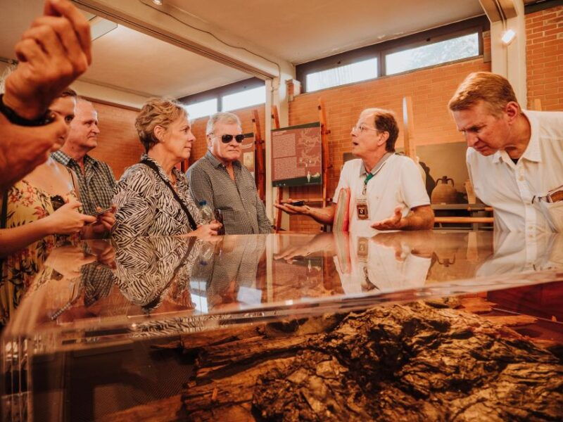 herculaneum-private-walking-tour-with-archeologist-guide