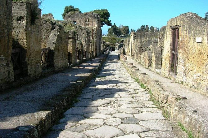 herculaneum-ruins-private-half-day-tour