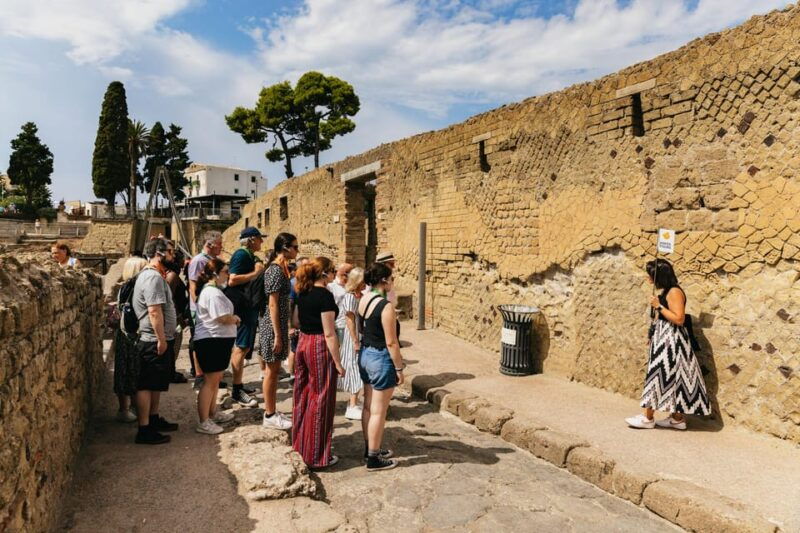 herculaneum-skip-the-line-guided-tour-with-archaeologist
