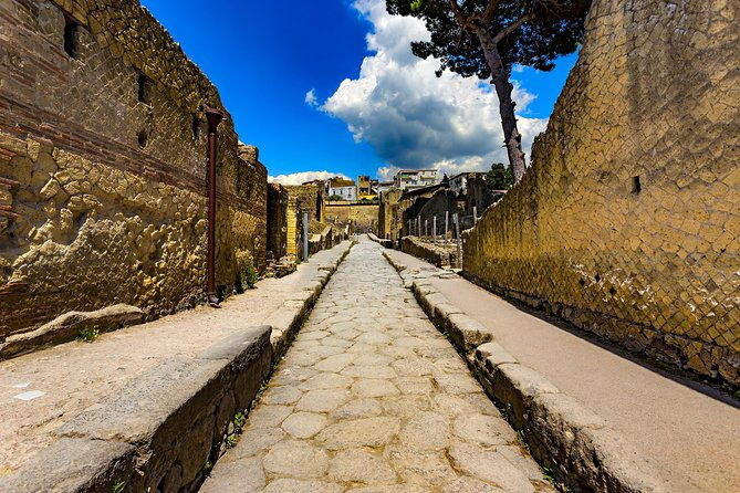 herculaneum-small-group-tour-with-an-archaeologist-skip-the-line