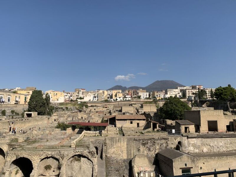 herculaneum-tickets-tour-with-a-local-archaeologist