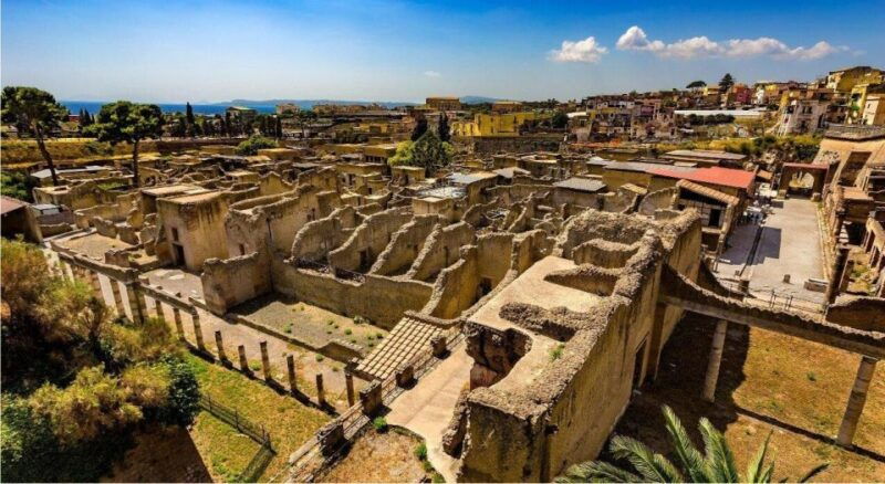 herculaneum-with-an-archaelogical-guide-ticket
