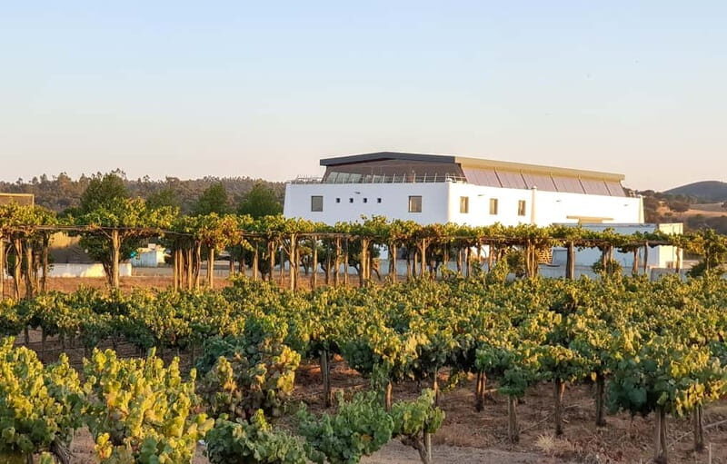 Herdade Canal Caveira - Visit Winery & Picnic - An Authentic Taste of Portugal’s Winemaking Heritage