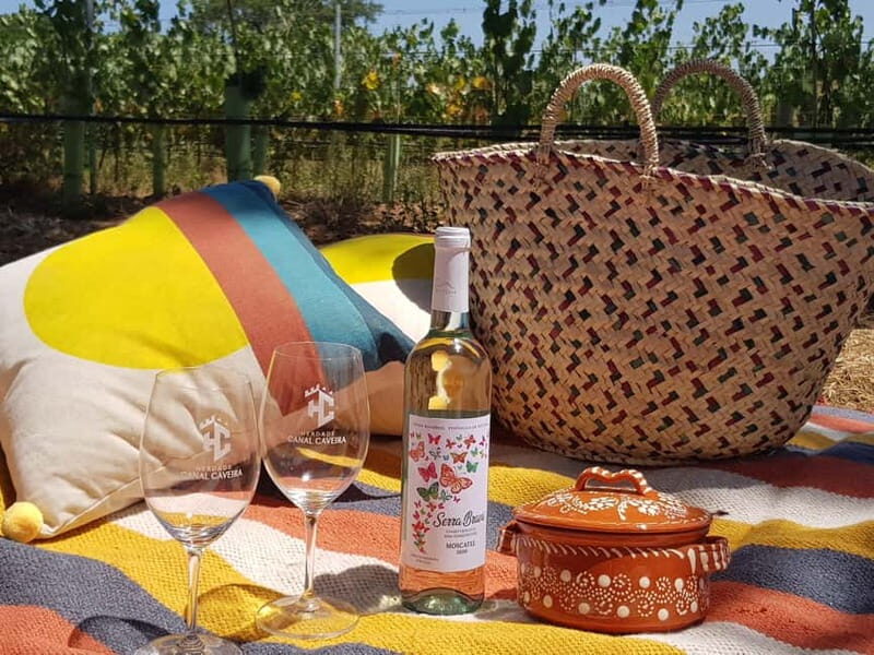 Herdade Canal Caveira - Visit Winery & Picnic - The Vineyard Picnic: A Relaxed Feast