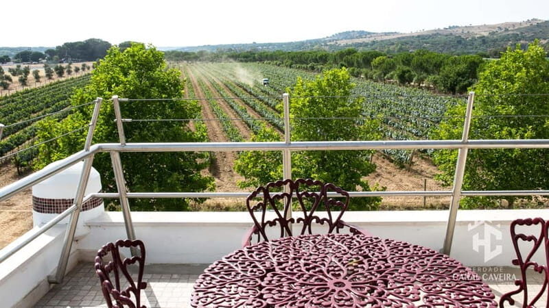 Herdade Canal Caveira - Winery Visit 4 Red's Wines & Tapas - Who Will Love It?