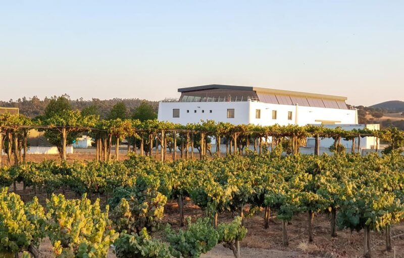herdade-canal-caveira-winery-visit-4-wines-tapas
