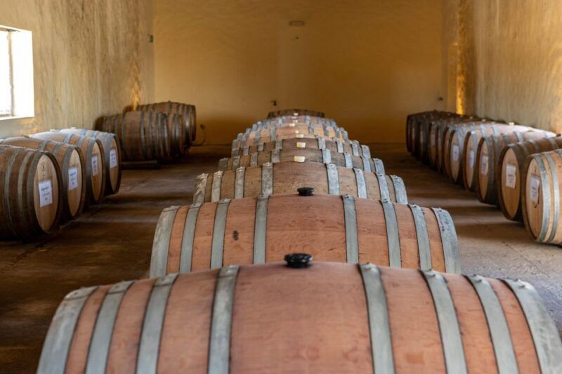 herdade-da-comporta-winetasting