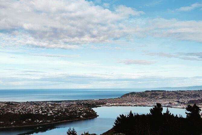 Heritage City and Larnach Castle Van tour with Historian Guide - The Sum Up