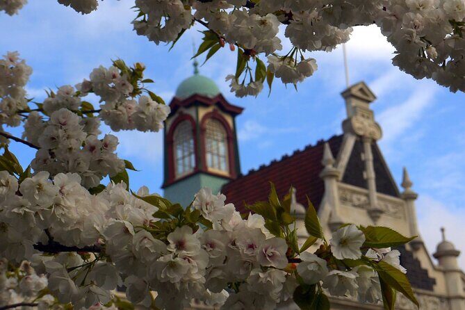 Heritage Dunedin City Walking Guided Tour - FAQ