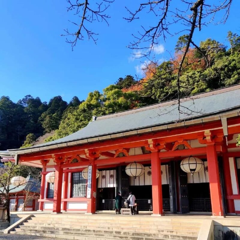 Heritage & Harmony: A Complete Tour of Osakas Treasures - Key Points