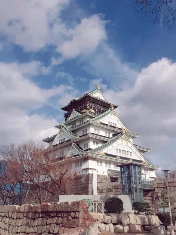 Heritage & Harmony: A Complete Tour of Osakas Treasures - Final Thoughts
