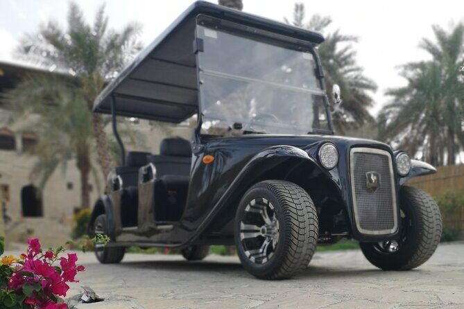 Heritage private Tour by classic carts - Key Points