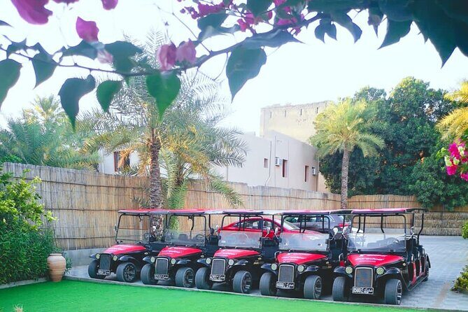 Heritage private Tour by classic carts - Who Will Love This Tour?