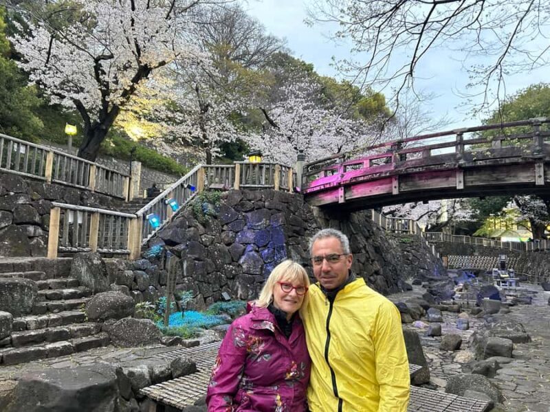 Heritage Tokyo: Sakura, Sake Brewery, Pairing Lunch - Key Points