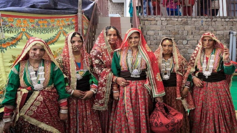 Heritage Tour: Tea Estates & Himalayan Culture of Palampur - The Itinerary in Detail: What to Expect