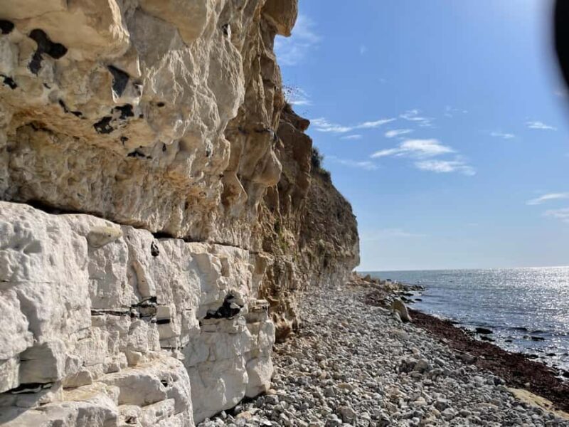 Heritage Tour to Stevn Klint & Vikingborg Fort UNESCO Sites. - Who Will Love This Tour?