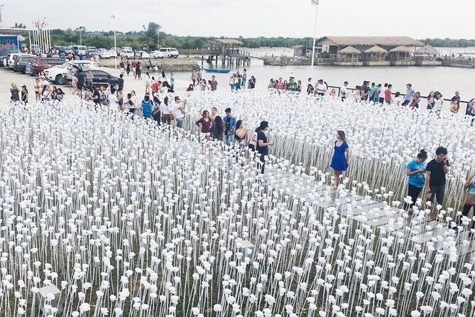 Heritage Tour with 10,000 Roses via CCLEX - Detailed Breakdown of the Tour