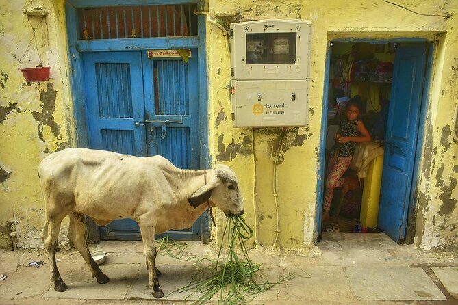 Heritage Walking Tour in Ahmedabad for an Immersive Experience - Key Points