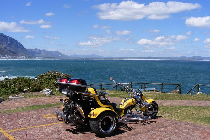 Hermanus and Whale Route Trike Tour from Cape Town - Key Points