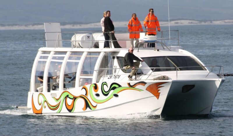 Hermanus: Boat Based Whale Watching Experience - Final Thoughts: The Truth About the Hermanus Whale Watching Experience