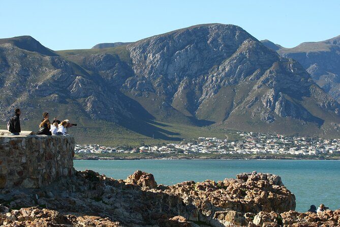 Hermanus Land based Whale Tour with Dave de Beer - What’s Included and How It Works