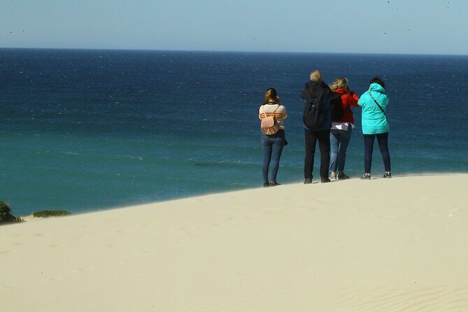 Hermanus Land based Whale Tour with Dave de Beer - Scenic Beauty and Comfort