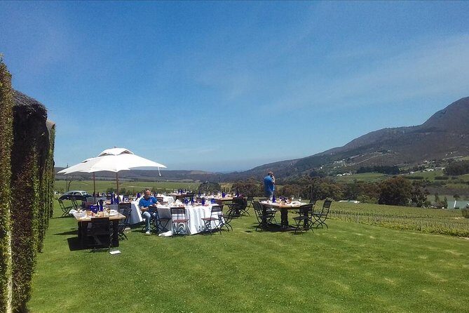 Hermanus Whale Coast Wine Tour (Cape To Grape Wine Tours) - Key Points