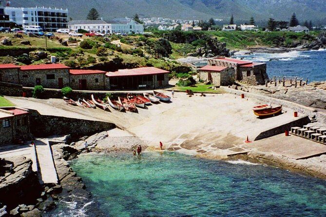 Hermanus Whale Coast Wine Tour (Cape To Grape Wine Tours) - What to Expect from the Hermanus Whale Coast Wine Tour