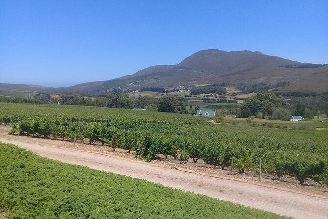 Hermanus Whale Coast Wine Tour (Cape To Grape Wine Tours) - FAQ