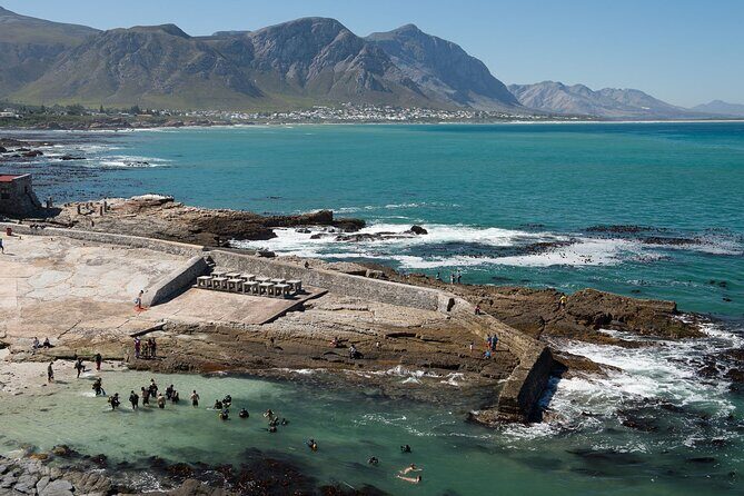 Hermanus Whale Watching and Stony Point Penguins Full Day Tour - The Practicalities