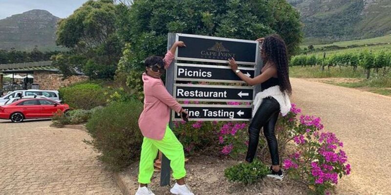 Hermanus Whale Watching and Winelands Private Full-day Tour - An In-depth Look at the Tour Experience