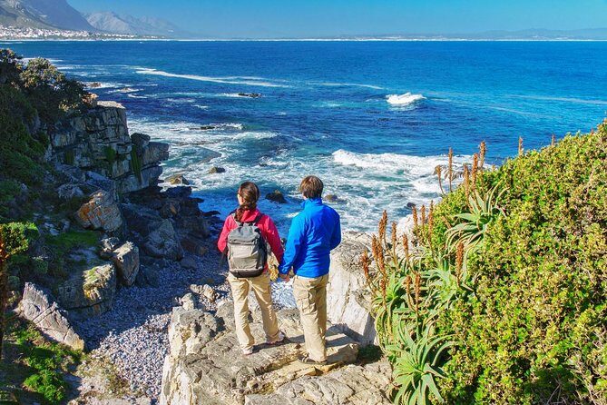 Hermanus Whale Watching Day Trip from Cape Town - The Overall Experience: What to Expect
