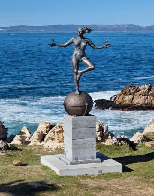 Hermanus: Whale Watching Tour - Key Points