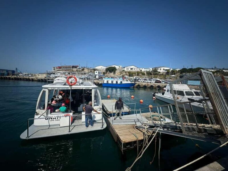 Hermanus: Whale Watching Tour with Penguin Colony Visit - What’s Included & What to Consider