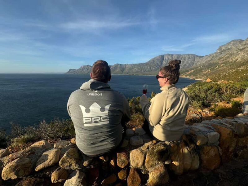 Hermanus: Whale Watching Tour with Penguin Colony Visit - About the Experience Provider