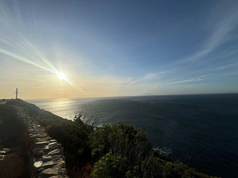 Hermanus: Whale Watching Tour with Penguin Colony Visit - Final Thoughts