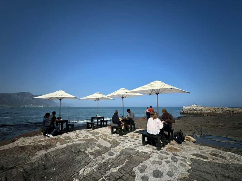 Hermanus: Whale Watching Tour with Penguin Colony Visit - FAQ