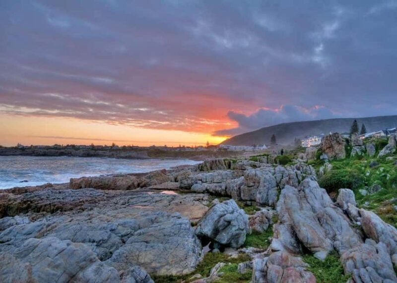 Hermanus: Whale Watching Tour with Scenic Coastal Views - Scenic Coastal Views and Wildlife Encounters