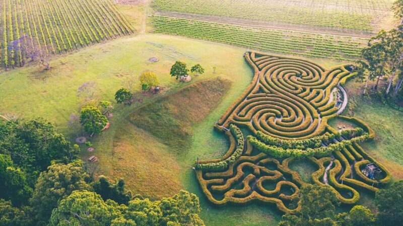 Herons Creek: Bago Maze Entry Ticket - Discovering Bago Maze: A Unique Hedge Puzzle in New South Wales