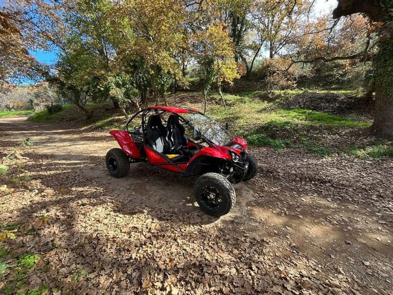 Hersonissos: Buggy Safari Adventure Tour - The Experience in Review: Authenticity, Adventure, and Learning