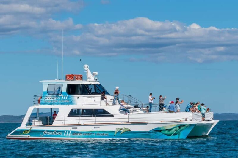 Hervey Bay: 3/4 Day Whale Watching Cruise with Lunch - An In-Depth Look at the Whale Watching Experience  