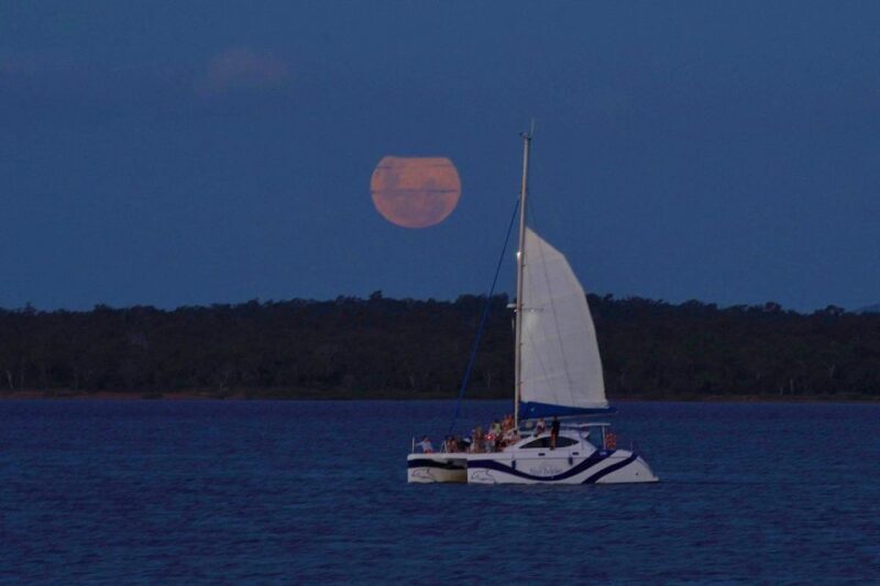 Hervey Bay Champagne Sunset Sail - Final Thoughts: Who Should Consider This Experience?