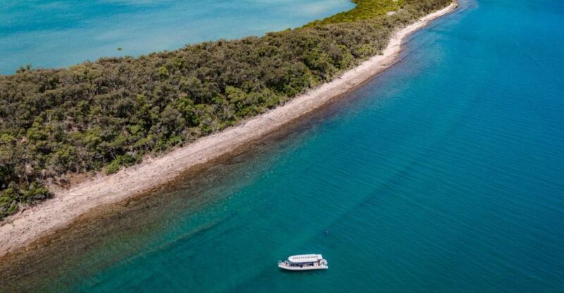 Hervey Bay: Exclusive Island Hopper Adventure Cruise - Authentic Reviews and Real Experiences