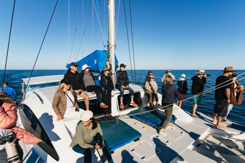 Hervey Bay: Exclusive Whale Watch Encounter - Pricing and Value