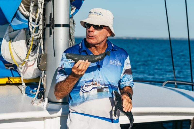 Hervey Bay: Exclusive Whale Watch Encounter - Final Thoughts: Is This the Whale Tour for You?