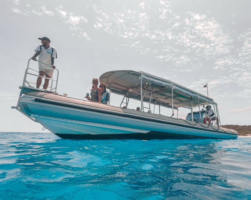 Hervey Bay: Half-Day Whale and Island Adventure by Boat - A Balanced View: Pros and Cons