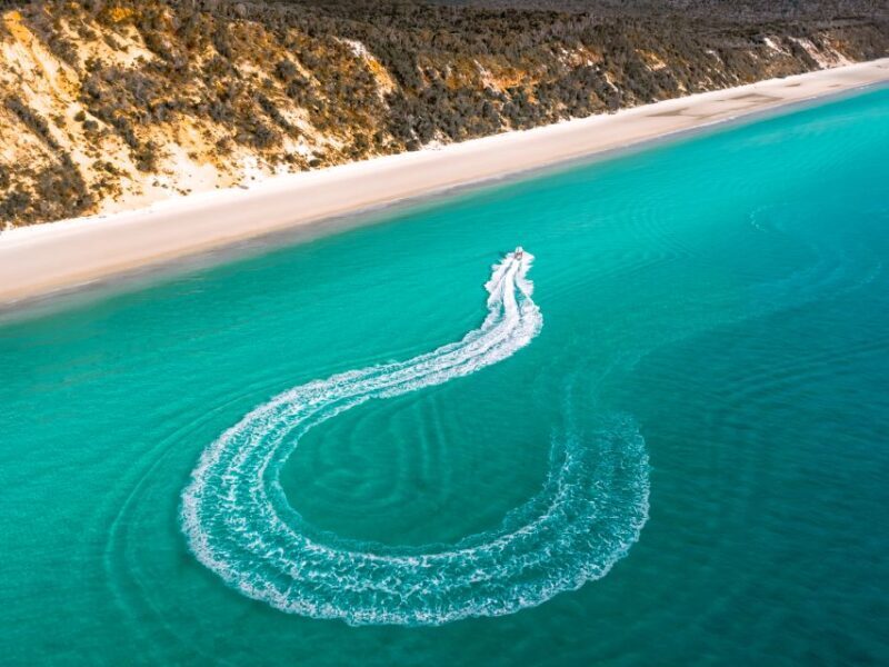 Hervey Bay: Half-Day Whale and Island Adventure by Boat - Who Is This Tour Best For?