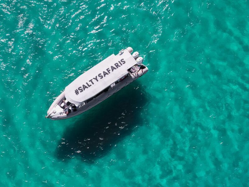 Hervey Bay: Half-Day Whale and Island Adventure by Boat - Frequently Asked Questions
